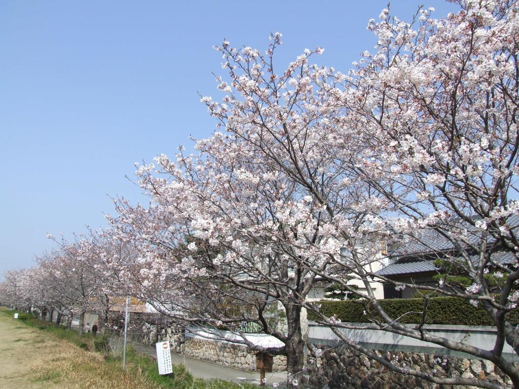 Jyoseikan Kōchi Buitenkant foto